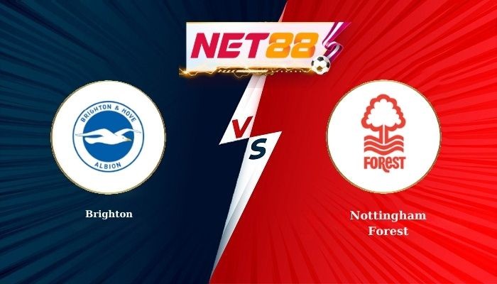 NET88 Soi Kèo, Nhận Định Bóng Đá Brighton vs Nottingham Forest 21h00 - 01-03-2026